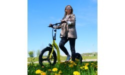 Beaster Scooter VOYAGER Electric Scooter, 350 W, 36 V, 10 Ah, Yellow