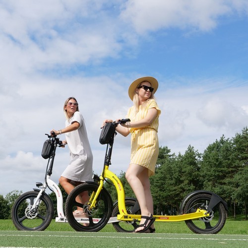 Электросамокат Beaster Scooter VOYAGER, 350 Вт, 36 В, 10 Ач, жёлтый