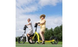 Beaster Scooter VOYAGER Electric Scooter, 350 W, 36 V, 10 Ah, Yellow
