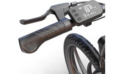 Beaster BS90 Electric Bike, 250 W, 36 V, 8 Ah, Foldable