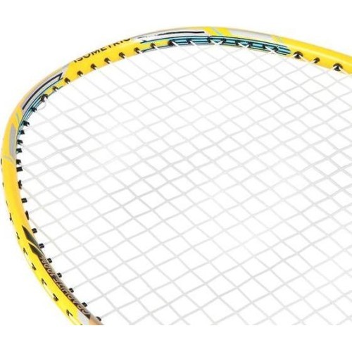 Badmintono raketė su dėklu NILS NR419 Carbon