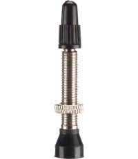 BONIN valves for tubeless tires, 40 mm (silver)