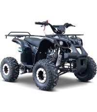 WILDPEAK 110cc Black Combustion Quad Vehicle