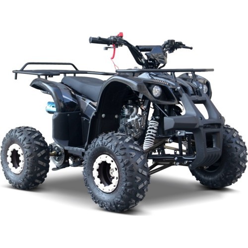 Квадроцикл WILDPEAK 110cc, чёрный