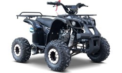 Keturratis WILDPEAK 110cc, juodas