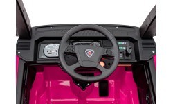 Scania R-SERIE vehicle Pink