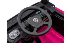 Scania R-SERIE vehicle Pink
