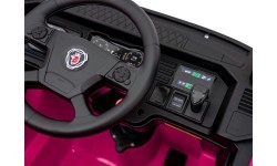 Scania R-SERIE vehicle Pink
