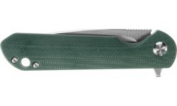 Ganzo Firebird FH41S-GB folding knife.