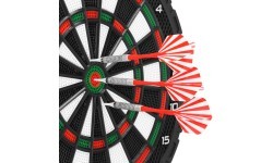 Smiginio taikinys Spokey NARVI BASIC 942240
