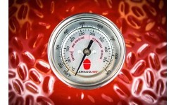 Anglinis lauko grilis Kamado Joe Classic III