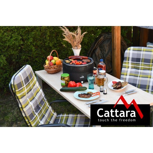 Настольный угольный гриль Cattara Keg