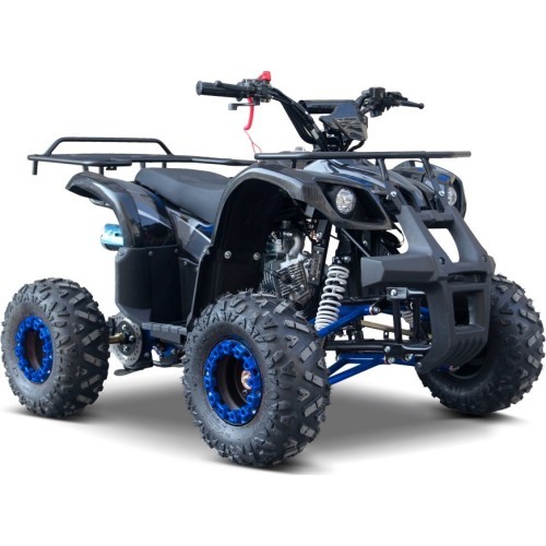 Keturratis WILDPEAK 110cc, mėlynas, benzininis