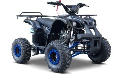 Keturratis WILDPEAK 110cc, mėlynas, benzininis
