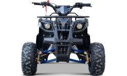 WILDPEAK 110cc Blue Combustion Quad Bike