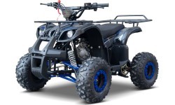 WILDPEAK 110cc Blue Combustion Quad Bike