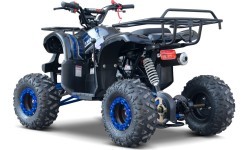 WILDPEAK 110cc Blue Combustion Quad Bike