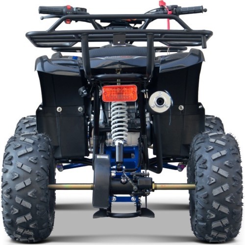 Keturratis WILDPEAK 110cc, mėlynas, benzininis