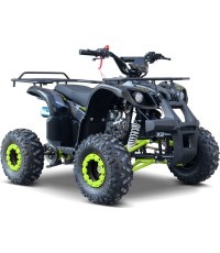 WILDPEAK 110cc Green Gasoline Quad Bike