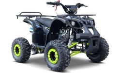 Квадроцикл WILDPEAK 110cc бензиновый, зелёный