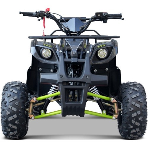 WILDPEAK 110cc keturratis, benzininis, žalias