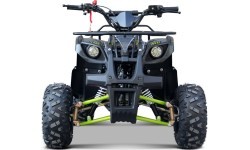 WILDPEAK 110cc keturratis, benzininis, žalias
