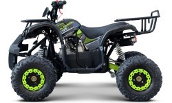 WILDPEAK 110cc keturratis, benzininis, žalias