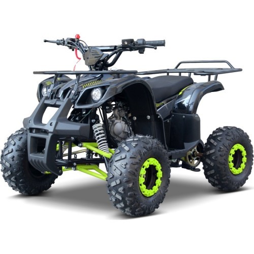 WILDPEAK 110cc keturratis, benzininis, žalias