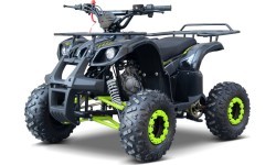 WILDPEAK 110cc keturratis, benzininis, žalias