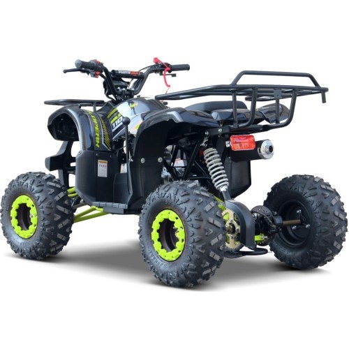 WILDPEAK 110cc keturratis, benzininis, žalias