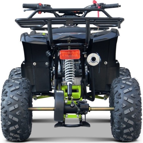 WILDPEAK 110cc keturratis, benzininis, žalias