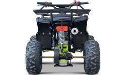 WILDPEAK 110cc keturratis, benzininis, žalias