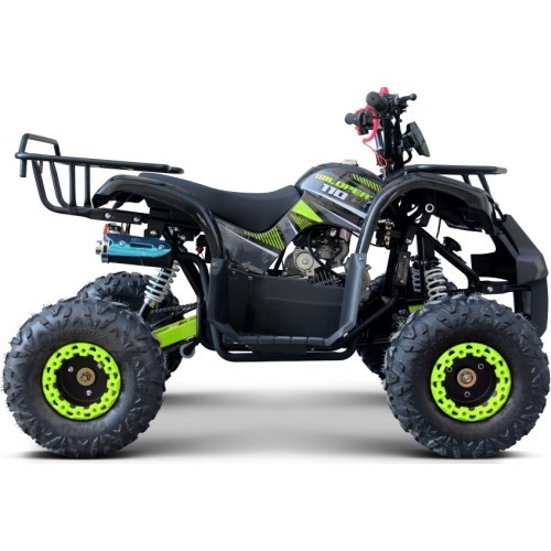 WILDPEAK 110cc keturratis, benzininis, žalias