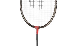 Badmintono rinkinys Wish Alumtec 316K