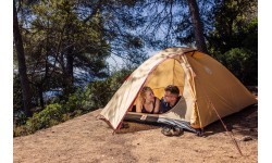 Co Tent 'Darwin Summer'