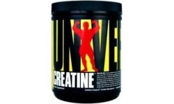 Universal Animal Creatine Monohydrate 500 g.