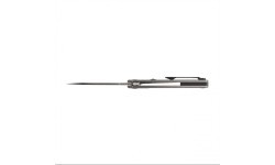 Sulankstomas peilis Ruike M875-TZ