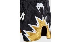 Venum Inferno 2.0 Muay Thai šortai, juodi/auksiniai