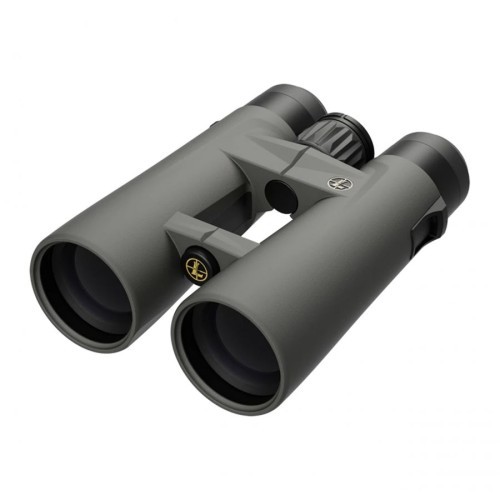Žiūronai Leupold BX-4 Pro Guide HD 10x50 mm Gen 2