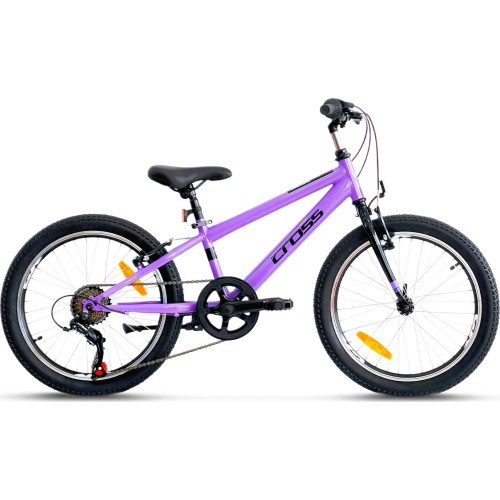 CROSS Harmony 20" // 6G, dydis 10" (25 cm) (violetinė)