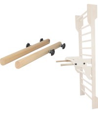 Parallel Bars for Wall Bars