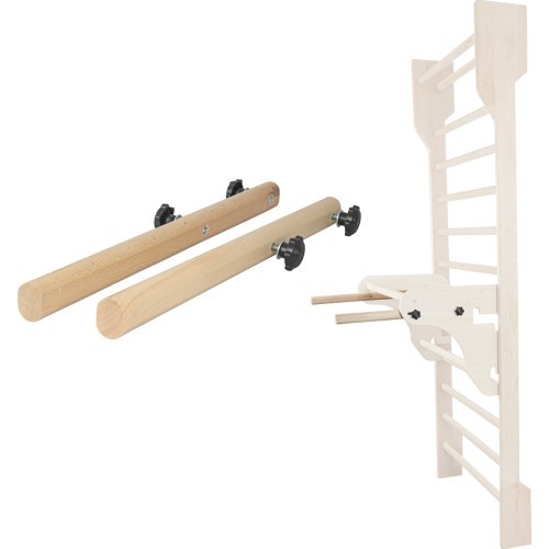 Parallel Bars for Wall Bars