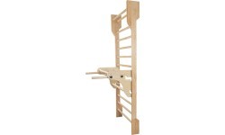 Parallel Bars for Wall Bars
