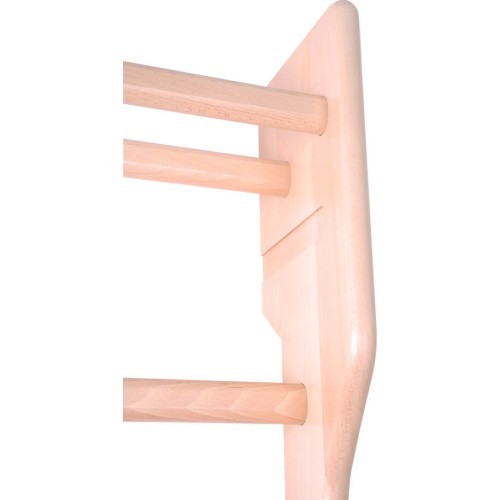Gimnastikos sienelė inSPORTline Dremar 215 x 80 cm, lakuota