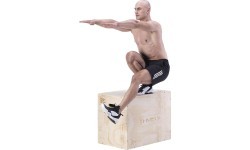 DSC01 PLYOMETRIC CHEST HMS