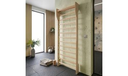 Шведская стенка inSPORTline Shapemar 250 x 90 см