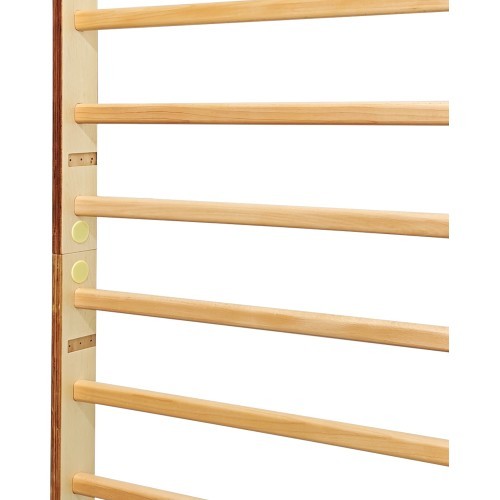 Шведская стенка inSPORTline Shapemar 240 x 90 см