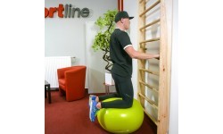 Wall Bars inSPORTline Shapemar 240 x 90 cm