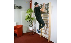Wall Bars inSPORTline Shapemar 220 x 90 cm