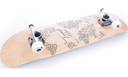 Skateboard TEMPISH Ontop